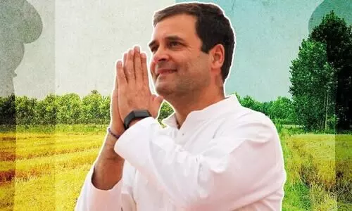 രാഹുൽ പഞ്ചാബിലേക്ക്​; കർഷക യാത്ര നയിക്കും