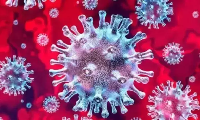 വയനാട്ടിൽ ഒരു കോവിഡ് രോഗി കൂടി മരിച്ചു വയനാട്ടിൽ ഒരു കോവിഡ് രോഗി കൂടി മരിച്ചു