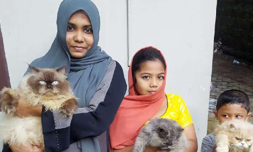 കൗതുകത്തിനു വാങ്ങിയത്, ജീവിതത്തിൽ താങ്ങായി