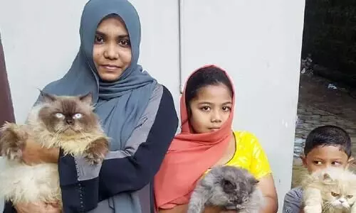 കൗതുകത്തിനു വാങ്ങിയത്, ജീവിതത്തിൽ താങ്ങായി