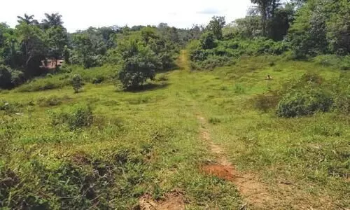 ആദിവാസി പുനരധിവാസ ഭൂമി വിതരണം ചുവപ്പുനാടയിൽ