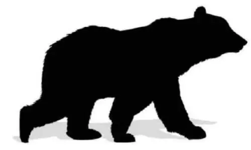 കരടിയുടെ ആക്രമണത്തിൽ യുവാവിന് പരിക്ക്