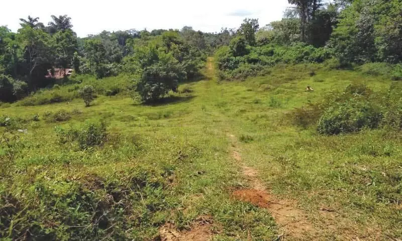 ആദിവാസി പുനരധിവാസ ഭൂമി വിതരണം ചുവപ്പുനാടയിൽ ആദിവാസി പുനരധിവാസ ഭൂമി വിതരണം ചുവപ്പുനാടയിൽ