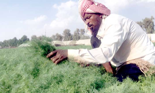 അടുത്തയാഴ്​ച ചൂടു കുറയും; മഴ നവംബർ ആദ്യമെന്ന്​ പ്രവചനം