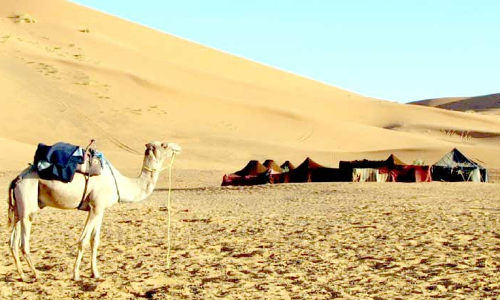 ഇനി നല്ല തണുപ്പൻ സൗന്ദ​ര്യത്തിലലിയാം