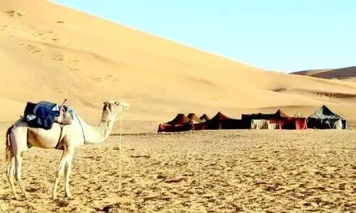 ഇനി നല്ല തണുപ്പൻ സൗന്ദ​ര്യത്തിലലിയാം