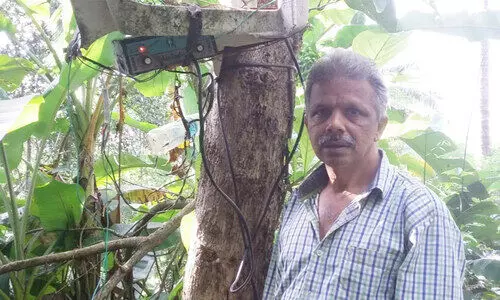 കൃഷിയിടത്തിൽ എഫ്.എം റേഡിയോ വെച്ചു; കാട്ടുപന്നികൾ പിന്നെ ആ വഴിക്ക്​ വന്നിട്ടില്ല