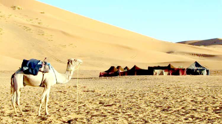 ഇനി നല്ല തണുപ്പൻ സൗന്ദര്യത്തിലലിയാം ഇനി നല്ല തണുപ്പൻ സൗന്ദര്യത്തിലലിയാം