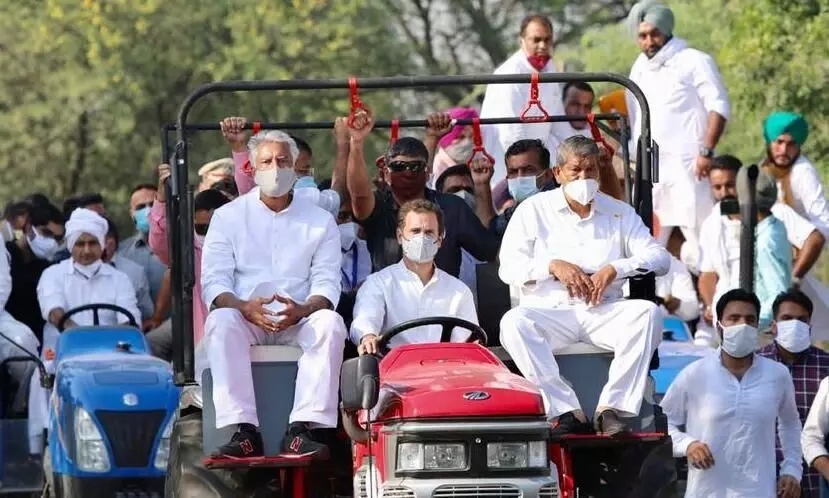 സോഫയിലിരിക്കുന്നുവെന്ന ബി.ജെ.പി പ്രചാരണങ്ങൾക്ക്​ ട്രാക്​ടറോടിച്ച്​ രാഹുലി​െൻറ മറുപടി