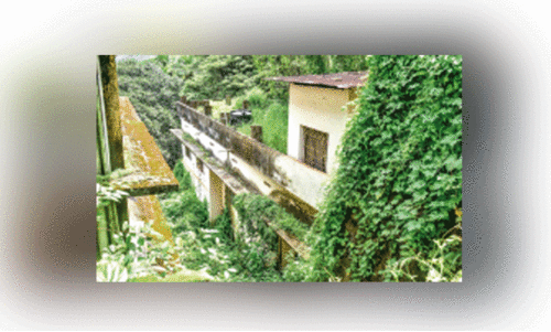 ഈ ഉ​പ​ഭോ​ക്തൃ​ഫോ​റ​ത്തി​ലേ​ക്ക്​ വ​ഴി എ​ന്ന്​ വ​രും ​?