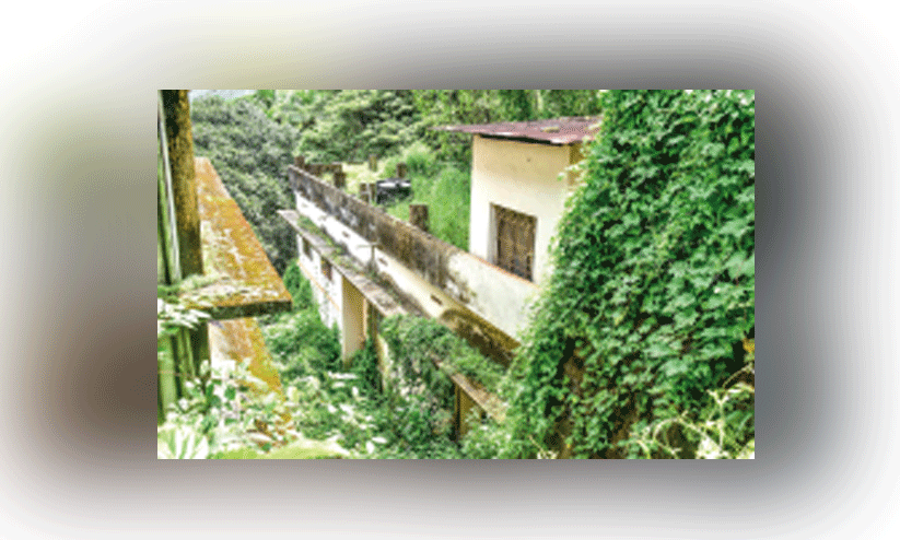 ഈ ഉ​പ​ഭോ​ക്തൃ​ഫോ​റ​ത്തി​ലേ​ക്ക്​ വ​ഴി എ​ന്ന്​ വ​രും ​?