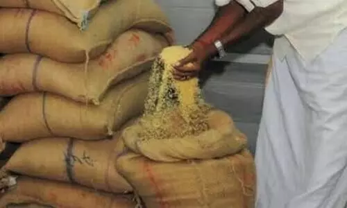 കേടായ അരി സപ്ലൈ​കോ ശുദ്ധീകരിക്കും; 116.38 മെട്രിക് ടൺ കുഴിച്ചുമൂടും