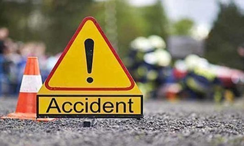 മരത്തിനും കാറിന്റെ ഡോറിനും ഇടയില്‍പെട്ട് സ്ത്രീ മരിച്ചു