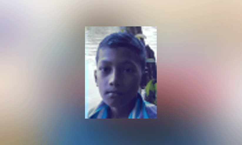 elephant attack elephant attack