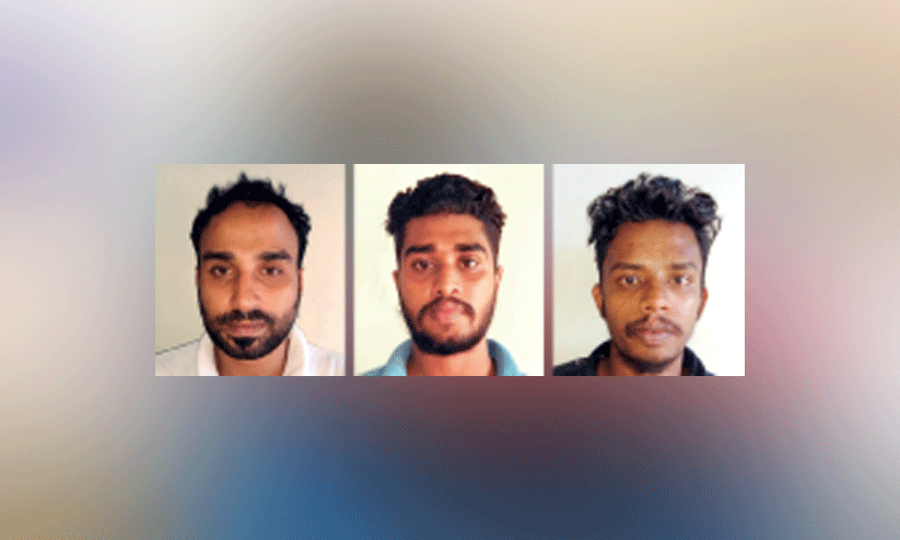 ചാപ്പനങ്ങാടിയിലെ കഞ്ചാവ് വേട്ട: മൂന്നുപേർ കൂടി പിടിയിൽ ചാപ്പനങ്ങാടിയിലെ കഞ്ചാവ് വേട്ട: മൂന്നുപേർ കൂടി പിടിയിൽ