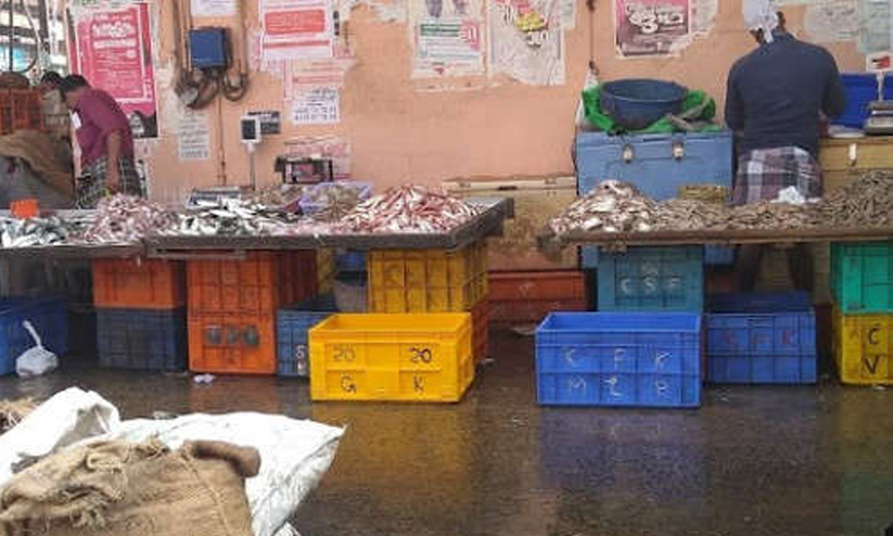 കോഴിക്കോട് സെന്ട്രല്മാര്ക്കറ്റ് തുറക്കാന് അനുമതി; കര്ശന നിബന്ധനകള് കോഴിക്കോട് സെന്ട്രല്മാര്ക്കറ്റ് തുറക്കാന് അനുമതി; കര്ശന നിബന്ധനകള്