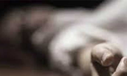 റോഡ്​ കാലിയായ ലോക്​ഡൗൺ കാലത്ത് മരിച്ചത്​ 12 ഡെലിവറി ബോയ്​സ്​