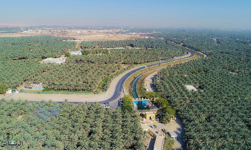 അൽഅഹ്​സ ഇൗന്തപ്പന മരുപ്പച്ച ഗിന്നസ്​ ബുക്കിൽ