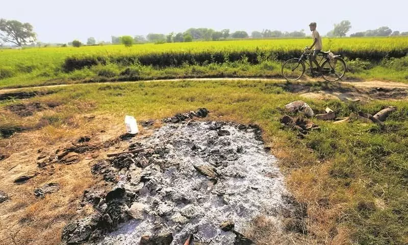 ജാതി ഹിന്ദുത്വ ബലാത്സംഗ കൊലകളും പേരിലെ ജാത്യാധിപത്യവും ജാതി ഹിന്ദുത്വ ബലാത്സംഗ കൊലകളും പേരിലെ ജാത്യാധിപത്യവും