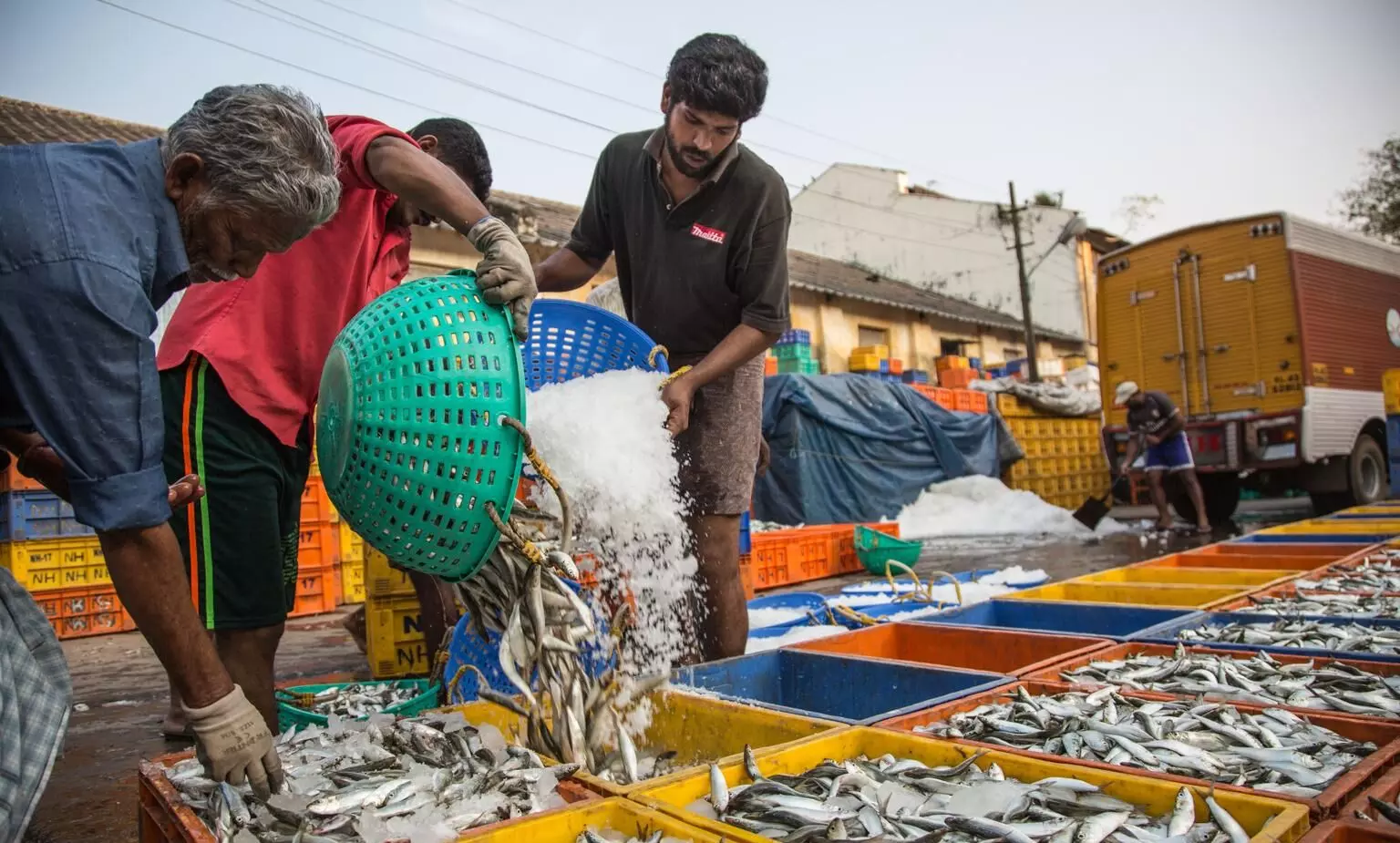 കോവിഡിൽ കുടുങ്ങി മീൻപിടിത്തം മത്സ്യമേഖല വൻ പ്രതിസന്ധിയിൽ