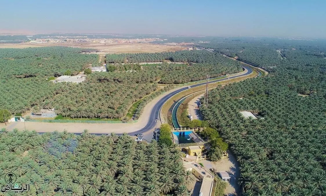 അൽഅഹ്സ ഇൗന്തപ്പന മരുപ്പച്ച ഗിന്നസ് ബുക്കിൽ അൽഅഹ്സ ഇൗന്തപ്പന മരുപ്പച്ച ഗിന്നസ് ബുക്കിൽ