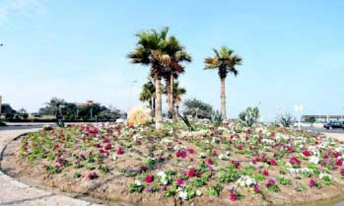 പൂക്കളും പച്ചപ്പും നിലനിർത്താൻ ചെലവഴിക്കുന്നത്​ കോടികൾ