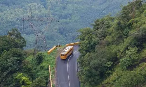താമരശ്ശേരി ചുരത്തിൽ ഭാഗിക ഗതാഗത തടസം