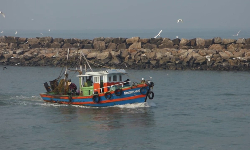 കോഴി​ക്കോട്​ ജില്ലയിലെ മത്സ്യബന്ധന തുറമുഖങ്ങൾ തുറക്കാൻ അനുമതി