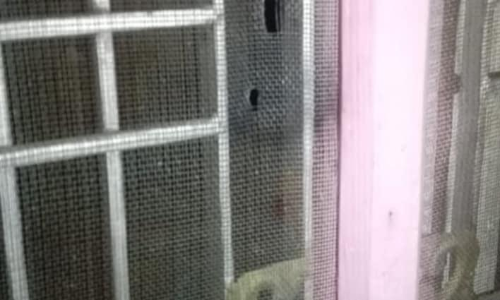 ജമ്മുകശ്​മീരിൽ ബി.ജെ.പി നേതാവി​െൻറ വീടിന്​ സമീപം വെടിവെപ്പ്; സൈന്യം തെരച്ചിൽ തുടങ്ങി