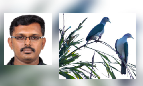 മനസ്സുണ്ടെങ്കിൽ ചുറ്റിലും കാണാം​ പ്രകൃതിയുടെ വിസ്​മയം