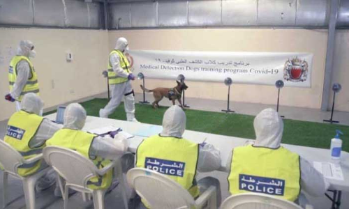 കോവിഡ്​ ക​െണ്ടത്താൻ ഇനി പൊലീസ്​ നായ്​ക്കളും