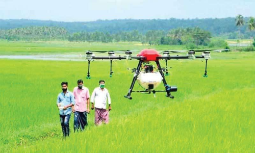 ഡ്രോൺ പറന്നു,​ പാടശേഖരങ്ങളിൽ വളം തളിക്കാൻ