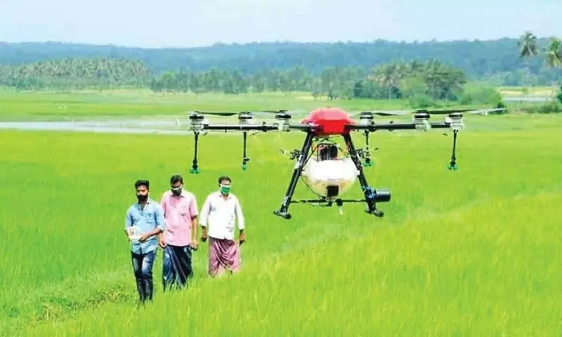 ഡ്രോൺ പറന്നു,​ പാടശേഖരങ്ങളിൽ വളം തളിക്കാൻ