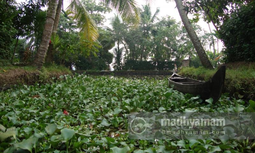 പ്രതീക്ഷയുടെ തുരുത്തിൽ ഉൾനാടൻ കായൽ വിനോദസഞ്ചാരവും