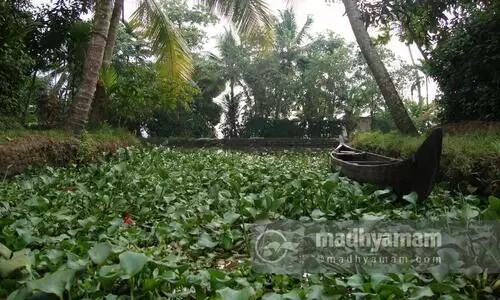 പ്രതീക്ഷയുടെ തുരുത്തിൽ ഉൾനാടൻ കായൽ വിനോദസഞ്ചാരവും