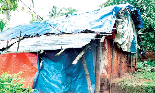 മാനസിക വിഭ്രാന്തിയുള്ള രണ്ട് മക്കളുമായി ഷീറ്റ് മറച്ച കൂരയിൽ അബ്​ദുറഹ്മാ​െൻറ ജീവിതം