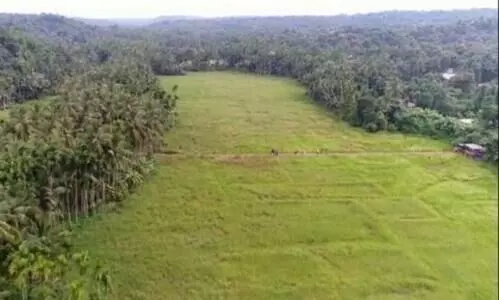 കീഴാറ്റൂർ ബൈപാസ്​: സി.പി.എമ്മിനു അന്നും ഇന്നും ഒരേ നിലപാട് -എം.എൽ.എ ജെയിംസ് മാത്യു