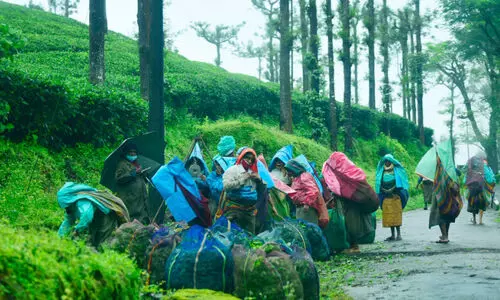 ലൈ​ഫി​ലു​യ​രു​മോ സ്വ​ന്തം വീ​ട്​