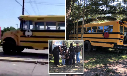 സ്​കൂൾ ബസെടുത്ത്​ പാഞ്ഞ 11 കാരൻ അരമണിക്കൂറോളം ടൗണിൽ കറങ്ങി; അവസാനം പൊലീസ്​ പിന്തുടർന്ന്​ പിടികൂടി