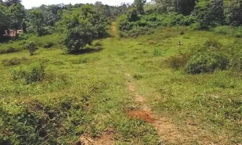നിലം പുരയിടമായി പരിവർത്തനം ചെയ്യുന്നവർ അറിയേണ്ട കാര്യങ്ങൾ