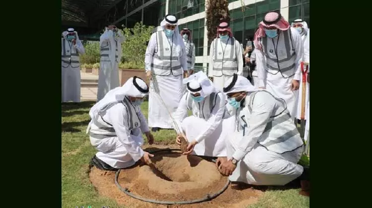 ഹരിതവത്​കരണം: സൗദിയിൽ ഒരുകോടി വൃക്ഷത്തൈകൾ നടും