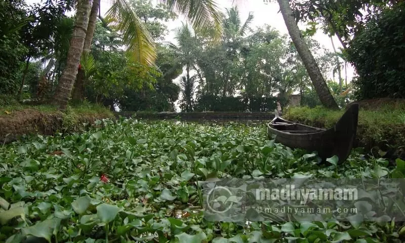 പ്രതീക്ഷയുടെ തുരുത്തിൽ ഉൾനാടൻ കായൽ വിനോദസഞ്ചാരവും