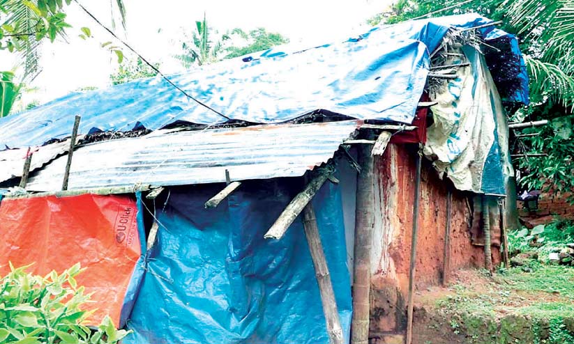 മാനസിക വിഭ്രാന്തിയുള്ള രണ്ട് മക്കളുമായി ഷീറ്റ് മറച്ച കൂരയിൽ അബ്ദുറഹ്മാെൻറ ജീവിതം മാനസിക വിഭ്രാന്തിയുള്ള രണ്ട് മക്കളുമായി ഷീറ്റ് മറച്ച കൂരയിൽ അബ്ദുറഹ്മാെൻറ ജീവിതം