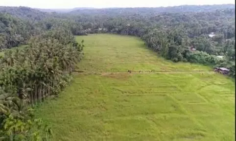 കീഴാറ്റൂർ ബൈപാസ്​: സി.പി.എമ്മിനു അന്നും ഇന്നും ഒരേ നിലപാട് -എം.എൽ.എ ജെയിംസ് മാത്യു