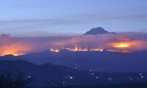 fire on Mount Kilimanjaro