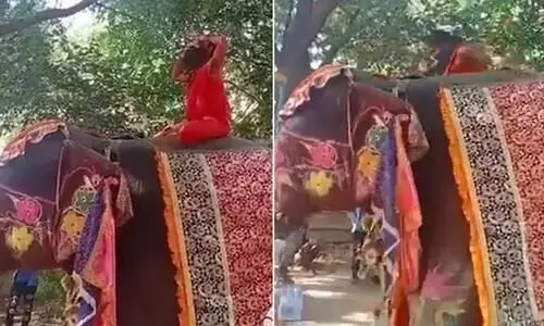 ആനപ്പുറത്തിരുന്ന്​ യോഗാഭ്യാസത്തിനിടെ ബാബ രാംദേവ്​ നിലത്തുവീണു