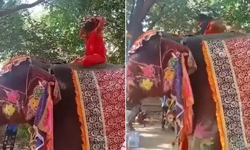 ആനപ്പുറത്തിരുന്ന് യോഗാഭ്യാസത്തിനിടെ ബാബ രാംദേവ് നിലത്തുവീണു ആനപ്പുറത്തിരുന്ന് യോഗാഭ്യാസത്തിനിടെ ബാബ രാംദേവ് നിലത്തുവീണു