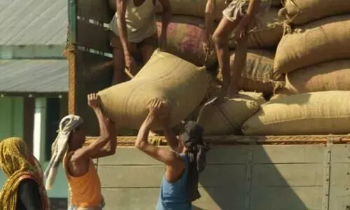 ചു​മ​ട്ടു​തൊ​ഴി​ലാ​ളി​ക​ള്‍ക്ക് എ​ടു​ക്കാ​വു​ന്ന പ​ര​മാ​വ​ധി ഭാ​രം 55 കി​ലോ