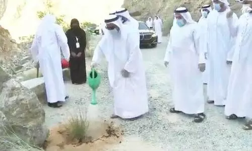 ഷീസ് പാർക്ക് ഉദ്ഘാടനം ചെയ്തു