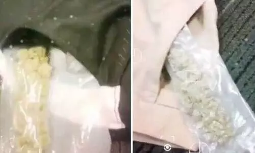 മയക്കുമരുന്ന് കടത്താൻ ശ്രമം; യാത്രക്കാരൻ പിടിയിൽ